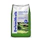 Rasenkalk Hamann Dolomitkalk für Rasenpflege 25 kg