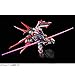 Bandai 1/100 MG MBF-P02 Gundam Astray Red Frame Flight Unit, Included Astray Body