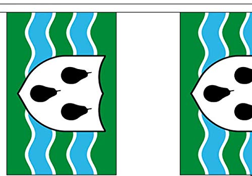 Worcestershire New Bunting - British County - 9 Metre Bunting - Polyester - 30 Flags Per 9M Length - FlagSuperstore