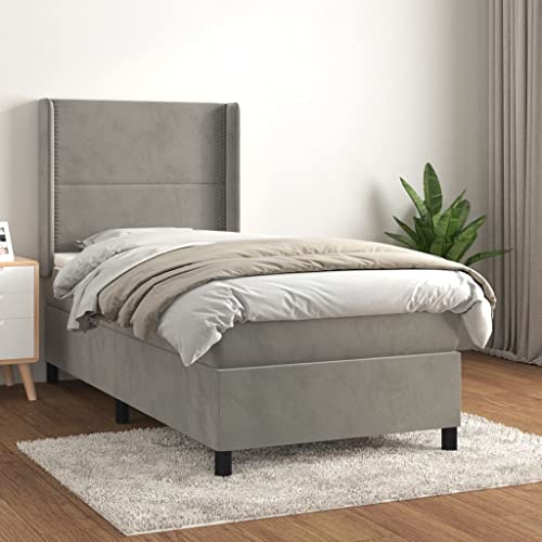 KLYEON Cama Box Spring con colchón Terciopelo Gris Claro 100x200 cm,Cama Matrimonial de Terciopelo con Resortes Embolsados, Cabecera Ajustable y Protector Hipoalergénico Camas y somieres