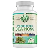 WHOLE WORLD WELLNESS Organic Sea Moss | Immune Support & Brain Health | Bladderwrack, Burdock Root & Bioperine | All Natural, Dairy Free, Gluten Free | 60 Capsules | Made in The USA.