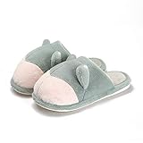 Damen-Hausschuhe, süßes Corgi-Paar, Baumwoll-Hausschuhe, weiblich, Herbst und Winter, für den Innenbereich, Wärme, Kinder, männlich, Slip-On-Hausschuhe (Farbe: A, Größe: 44/45) (C 36/37)