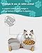 Futternapf Hund Keramik Futternapf Katze Doppelt Futternapf für Hunde und Katze mit Bambus Ständer und Rutschfester Unterlage (400ml, 2-Grün)