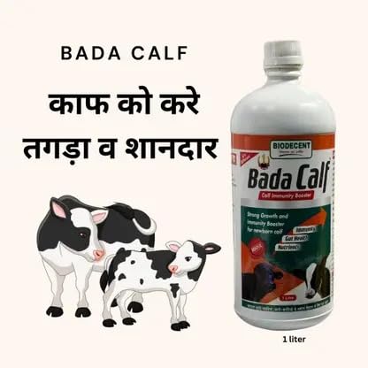 Image of Biodecent Bada Calf Immunity Booster | Strong Growth & Gut Health Supplement for Newborn Calves | Supports Liver, Blood & Digestion | 1 Litre Liquid