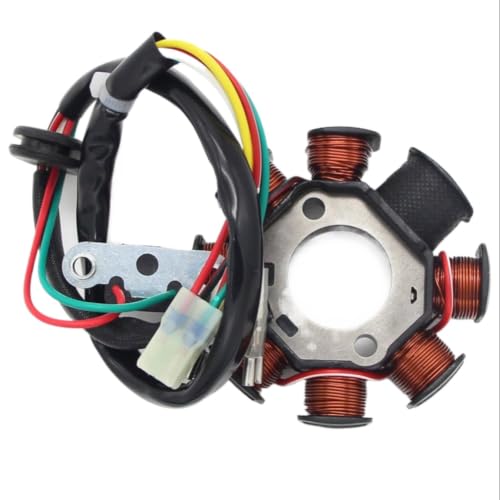 Estator Magneto 55139004000 para TC 250 y TE300 encendido moto