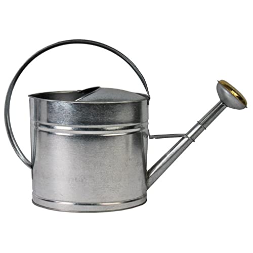 Arrosage galvanisé Talen Tools 633 gris pour en finir avec la rouille au jardin