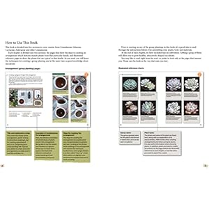 Succulents made easy a beginners guide featuring 200 varieties paperbackaugust 23 2022  urban country home decor