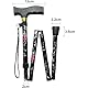 BeGrit Gehstock Damen Faltbar Gehstock Elegant Geschenke Klappbar Aluminium Einstellbar Spazierstock Verstellbarer Gehstöcke für Mother Damen Geburtstag Thanksgiving (Schwarz + Geschenkbox)