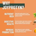 5LB Dried Black Soldier Fly Larvae for Chicken– 85X More Calcium Grubs Than Mealworms for Strong Eggshells & Healthy Growth - High Protein for Chickens, Birds, Ducks, Geese & Pets - Image 2