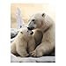5D Diamond Painting Kits for Adult, Polar Bear Love Diamond Art Kits for Beginners Fun DIY Crafts Round Diamond Art Canvas Home Wall Decor 12