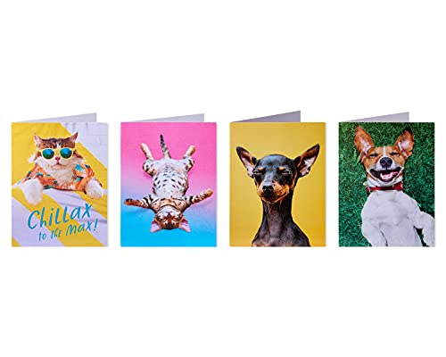 American Greetings Funny Blank Cards with Envelopes for All Occasions Dogs & Cats (48-Count) - Image 4