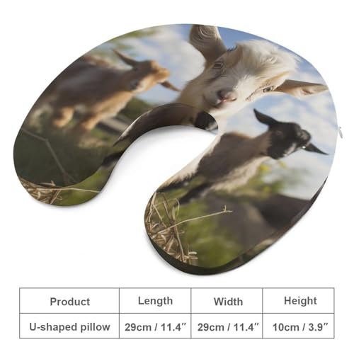 Almohada cervical espuma viscoelástica tamaño único miniatura 2