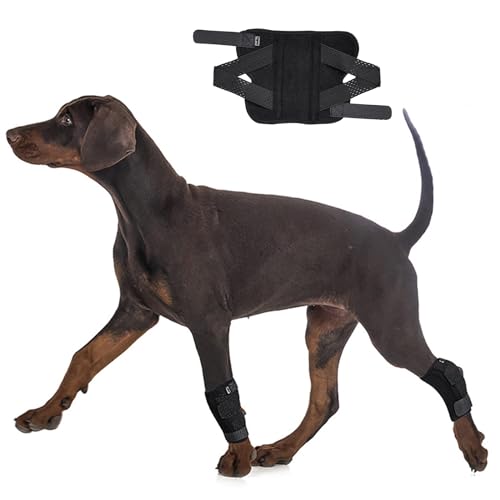 Image of (S /M) Dog Leg Brace for Back Leg, Canine Hock Brace for Rear Legs with Dual Metal Strips, Joint Warps Strong Support Help for Hind Leg Injuries Sprains Arthritis Torn ACL(1Pair)