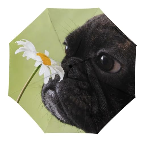 Parapluie pliable motif chien carlin imperméable coupe-vent