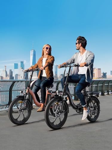 HillMiles MTB MilePort 1 Adult Electric Bike, 36V 13AH Removable Battery 250w Motor With 20‘*3.0’ Fat Tire Folding Electric Bike, Speed 25KM/H Range Up To 100KM City Commuter Ebike (Black) - Image 6