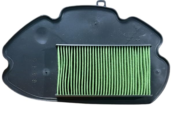 Premium Air Filter Compatible for Honda Activa 125, Grazia 125 BS4 | Scooty Air Cleaner Filter | High Performance Replacement Filter-image-8