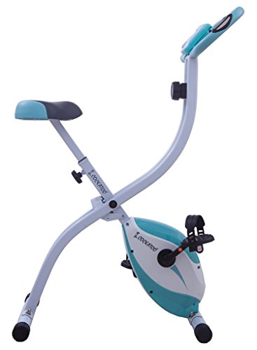 cockatoo exercise bike reviews
