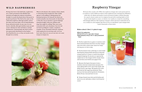 The Hedgerow Cookbook: Delicious Recipes for Foraged Food - Image 3