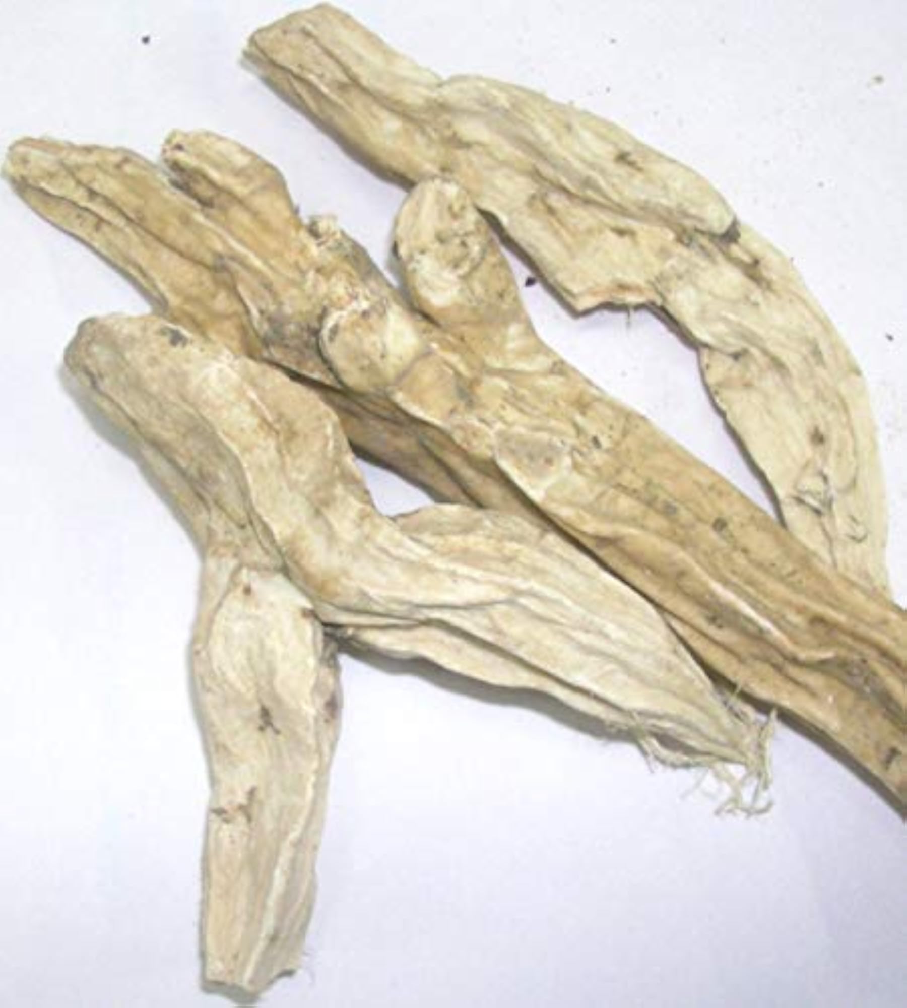 Divesh Store Behman Safed, Herbal Powder 400 g