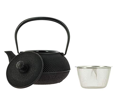 Iwachu Japanese Cast Iron Teapot With Filter And Traditional Design 900 Ml Black #TOP4