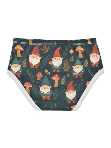 ZZKKO Gnomes and Forest Leaves Mushrooms Girls Underwear Toddler Panties for Girls Comfort Brief Size 2T2
