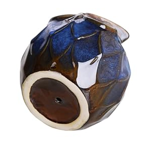 GeLive Blue Owl Ceramic Succulent Planter with Drainage Hole Animal Plant Pot Tabletop Decoration Vase Window Box Indoor Outdoor Decor (Blue) GeLive Blue Owl Ceramic Succulent Planter with Drainage Hole Animal Plant Pot Tabletop Decoration Vase Window Box Indoor Outdoor Decor Blue