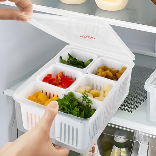 Image of MILTON 6-in-1 Grid Fridge Storage Containers Fridge Organizer Container & Lid, Stackable Box, Space Saving Plastic Containers for Chopped Vegetables, Fruits