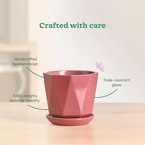 Image of UGAOO Diamond Ceramic Flower Pot for Indoor Plants, 4 Inch - Magenta