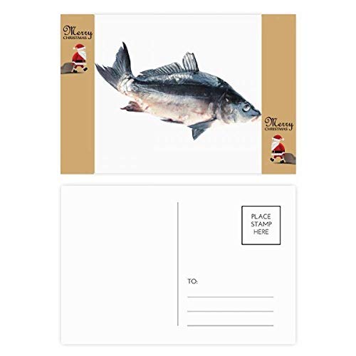Cartes de remerciement poissons Ocean Fish lot 20 pièces correspondance mer