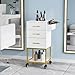 OmySalon Salon Storage Trolley Cart, White Gold Salon Station for Stylist, Beauty Wooden Hair Cabinet with Dryer Holder & Drawer, Hairdressing Tools Organizer Equipment for Spa Barbershop