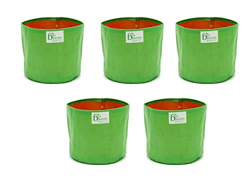 Image of Bio Blooms Round HDPE Plant Grow Bag for Terrace & Kitchen Gardening | Pack of 5 | 9x12 | 200 GSM Heavy Duty Outdoor Grow Bag | Durable Planter for Vegetables, Flowers & Plants | Green & Orange