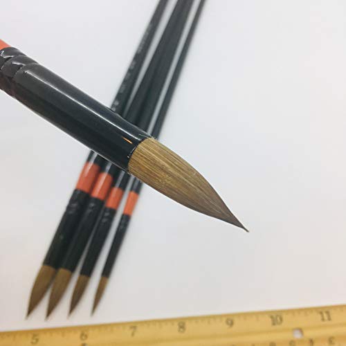 Xdt#950 Mop Round Tip Artist Paint Art Brush 5Pc Natural Hair Acrylic Watercolor #2 #4 #6 #8 #10 #TOP6