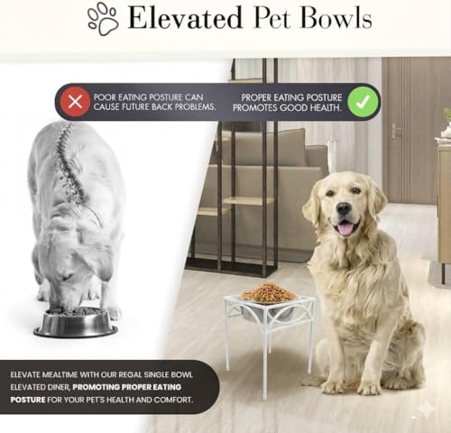 Image of Acrylic Design Art Single Bowl Raised Feeder - Elevated Feeding Station - Metal, Wrought Iron Dog Bowl, Large and XL Dogs (Large - 12 inch Tall) White