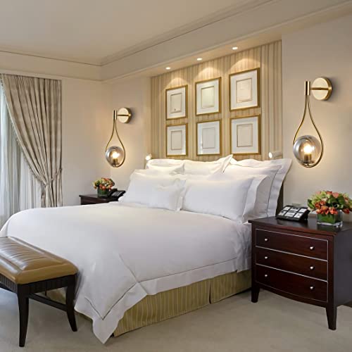 Bokt Modern Golden Metal Wall Sconce Mid Century Simple Wall Lights Farmhouse Wall Lighting Fixture Gold Round Ball Smokey Grey Globes Ceiling Bedside Reading Light For Study Laundry Living Room… #TOP6