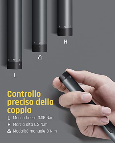 SET CACCIAVITE TORX magnetico di livello professionale per riparazioni