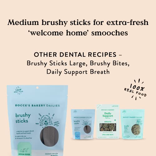 Bocce’s Bakery Dailies Brushy Sticks To Support Oral Health & Fresh Breath, Wheat-Free Dental Bars For Dogs, Made With Real Ingredients, Baked In The Usa, All-Natural Coconut & Mint Recipe, Small Dogs #TOP4