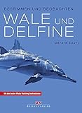 Wale und Delfine: Bestimmen und beobachten: Bestimmen und beobachten. Mit den besten Whale Watching Destinationen