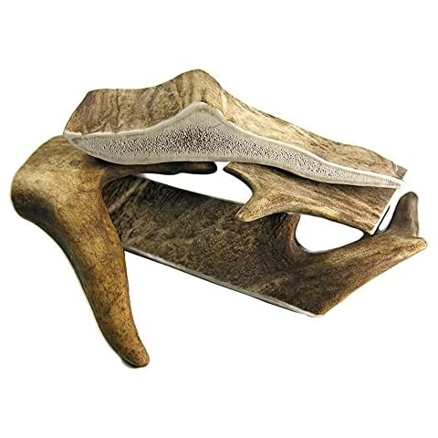 ARTISAN GIFT CO Fallow Antler Chews for Small Dogs and Puppies - 100% Natural Deer Antler Treats - Size Small / 2 pieces (Total weight +120gr.) Cover