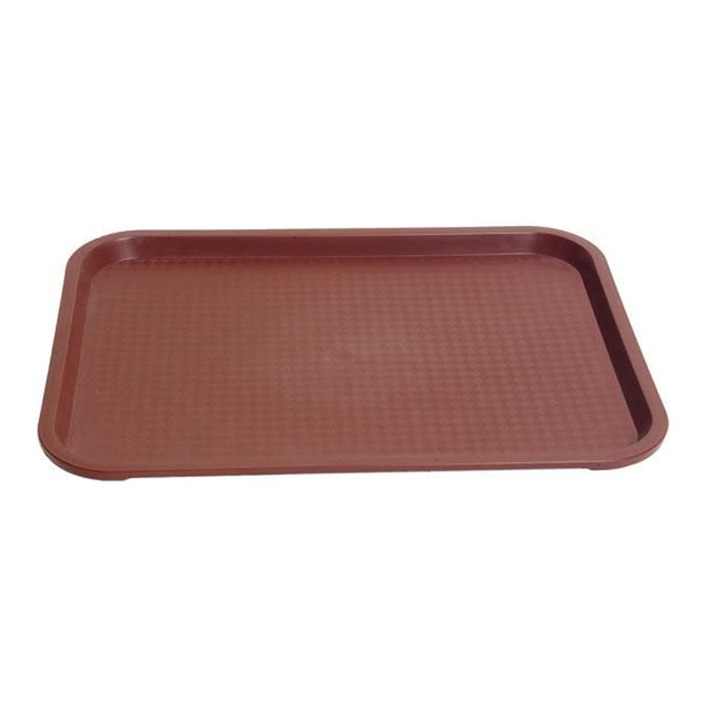 United Scientific LTRAY1 Polypropylene Flat Laboratory Tray, 15" L x 0.8" W x 5" H (Pack of 10)