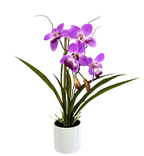 Orchidée Artificielle Phalaenopsis en Pot - Fleurs artificielles en Soie réaliste - Faux Toucher réaliste - Plante décorative - Pots de Fleurs - Cymbidium