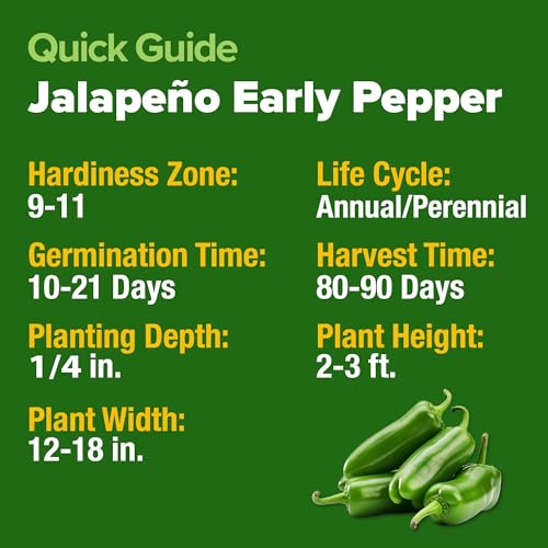 Image of HOME GROWN Jalapeno Pepper Seeds 258+ Heirloom Non-GMO Seeds for Planting, High Germination, Mild to Medium Heat Hot Peppers, Heavy Producer, Perfect for Salsa & Pickling (Capsicum annuum)