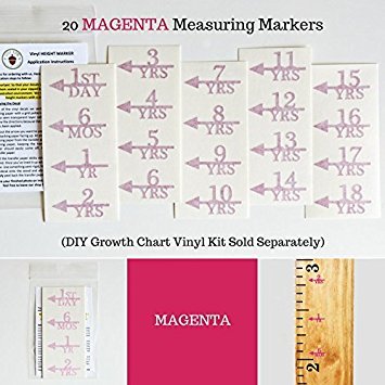 Little Acorns ADD ON - DIY Vinyl Growth Chart Ruler - Height Marker Arrows ONLY