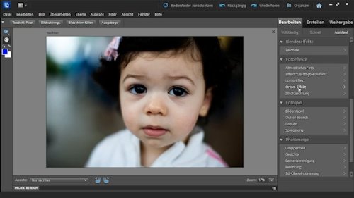Adobe Photoshop Elements 10 & Adobe Premiere Elements 10
