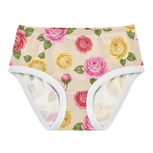 Toddlers Underwear Floral 2t Cotton Girl Panties Cute Funny Kids Undies Briefs Vintage Flowers Colorful Floral