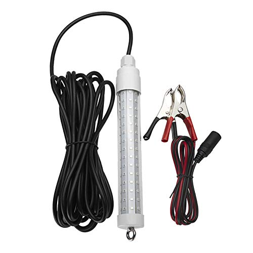 F Fityle 12v 10bg1000[ledW8ӐQTm@v6[gR[hF