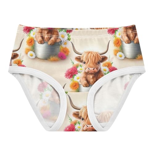 Joisal Fancy Toddler Underwear Floral 2t Cotton Panties for Girl Cute Highland Cow Flowers Underpants Briefs