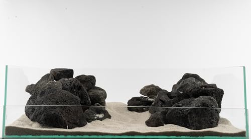 NatureHolic Premium Lavastein Dark | Echter schwarzer Lavastein fürs Aquarium | Ideal für Aufsitzerpflanzen | 1 Stein | Größe: M 15-20cm