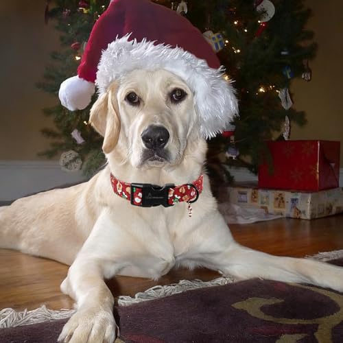 ARING PET Weihnachten Hundehalsband, Weihnachtsmann Hundehalsband mit Schnellverschluss aus Kunststoffschnalle, Winter Bequemes Rot Halsband für Jungen und Mädchen Hunde