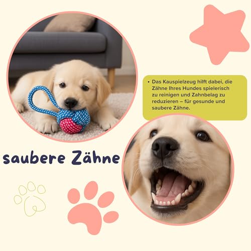 BALLONTE Welpenspielzeug Set 7-teilig für kleine Hunde – Kau- & Quietschspielzeug, Robustes Seilspielzeug, Beschäftigung & Zahnpflege für Welpen – Ungiftige Materialien, Spielzeug gegen Langeweile