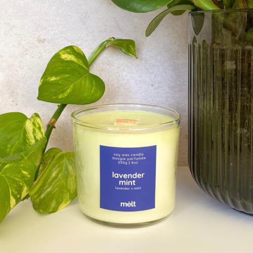 Opiniones y reviews de Velas de soja ecologicas para comprar online. 33 melt, velas aromáticas de cera de soya, velas ecológicas, velas decorativas, velas sustentables, (Lavender Mint)